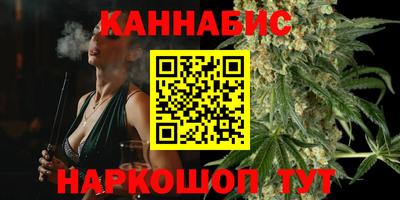 индика Славгород