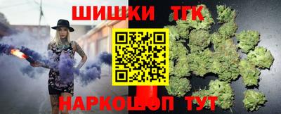 индика Славгород