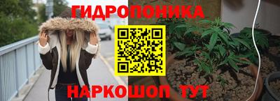 молекула духа Славянск-на-Кубани