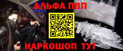 индика Славгород