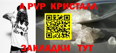 индика Славгород