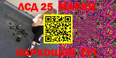 индика Славгород