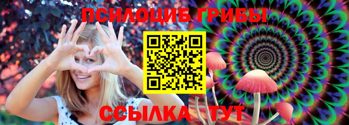 Псилоцибиновые грибы мицелий  что такое   Псилоцибиновые грибы мухоморы  Алексеевка  Вход с VPN 